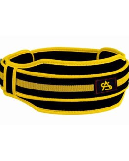 Fitness Belts